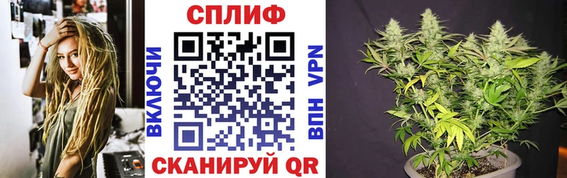 Бошки Шишки гибрид  Колпашево 